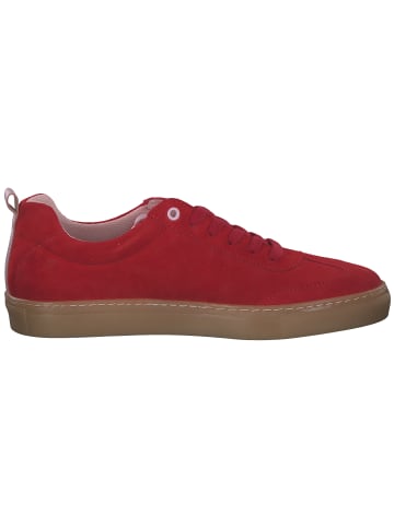 palado Sneakers Low in suede/tomaia