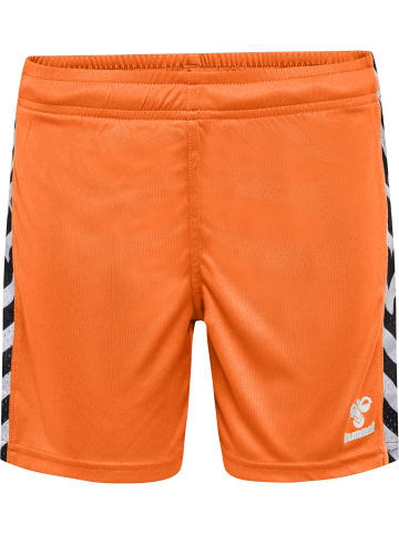 Hummel Hummel Kurze Hose Playful Shorts Lebensstil Kinder in SHOCKING ORANGE