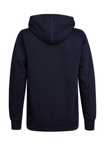 Petrol Industries Artwork Hoodie Wenatchee in Blau