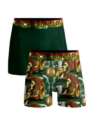 Muchachomalo 2er-Set: Boxershorts in Multicolor/Green