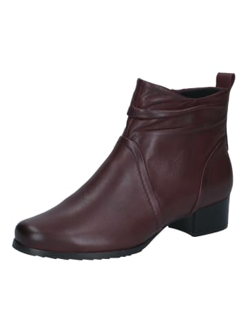 Caprice Stiefelette in Bordeaux