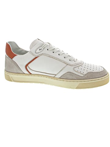 Sioux Tils Sneaker Sneaker Beige