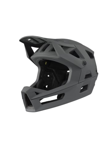 IXSSportsDivision iXS Trigger FF MIPS helmet