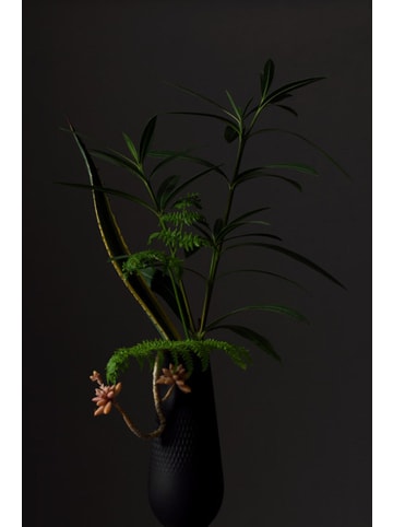 Villeroy & Boch 3er Set Vasen-Set Manufacture Collier in schwarz