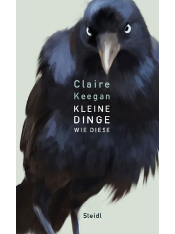 Steidl GmbH & Co.OHG Buch - Kleine Dinge wie diese