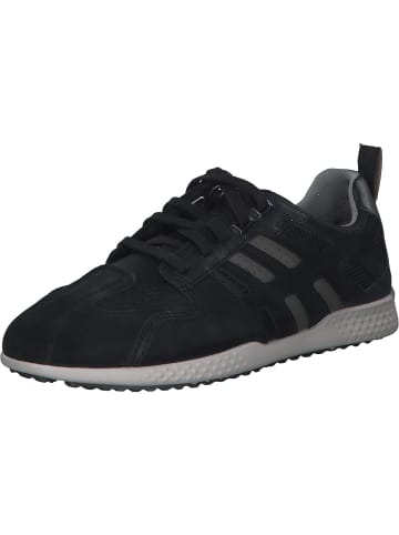 Geox Sneakers Low in Black/Black