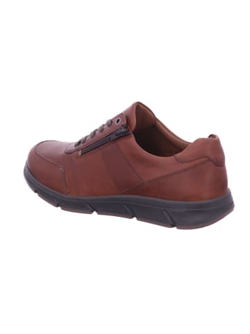 Solidus Sneaker in braun