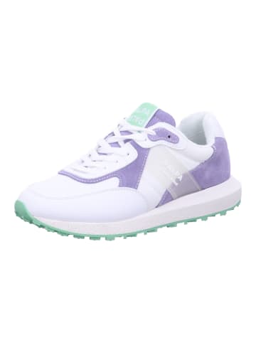 Palpa Sneaker Low in weiß