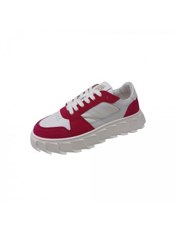 Apple of Eden Sneaker  in Pink