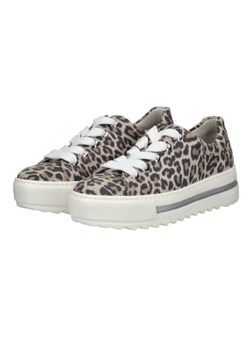 Gabor Sneaker in Leopard