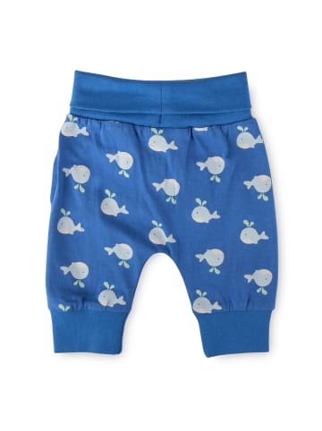 Sigikid Hose Classic Baby in blau