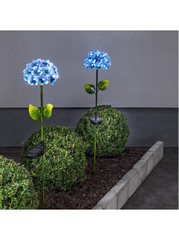 STAR Trading LED Solar Gartenstecker Blume Hortensie in blau - H: 77cm