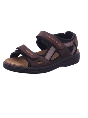 Solidus Sandale in darkbrown/piombo