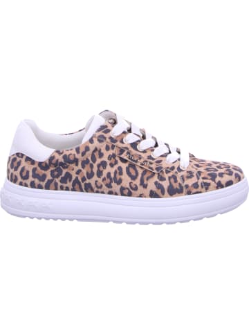 PETER KAISER Sneaker in braun