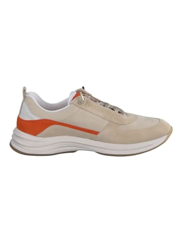 Paul Green Sneaker in Beige/Orange