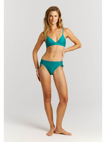 Protest " MIXGrowi in Peacock Green