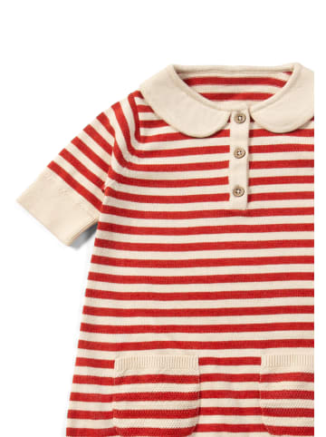 Little Green Radicals Knitted Collar Dress in Red