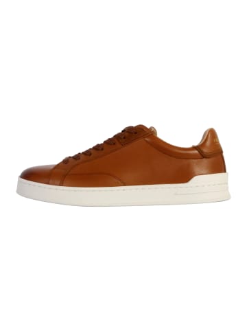 Redskins Leder-Sneaker „Tessin“ Braun