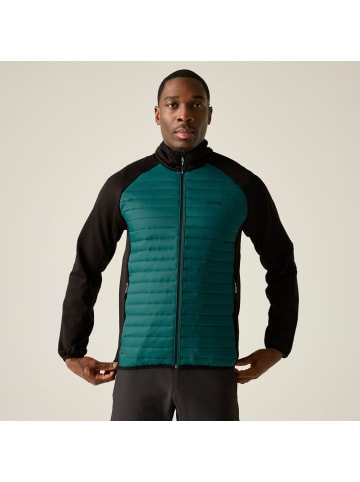 Regatta Clumber Hybridjacke in Grün