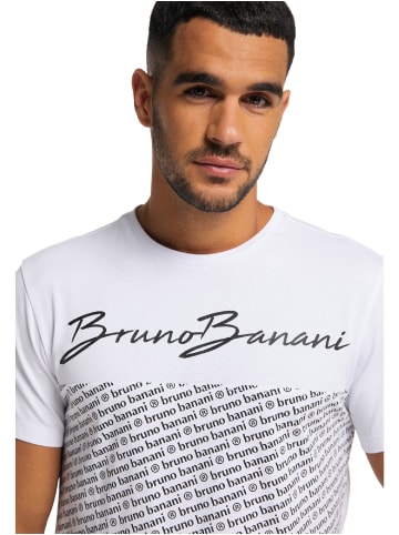 Bruno Banani T-Shirt SANCHEZ in Grau / Melange