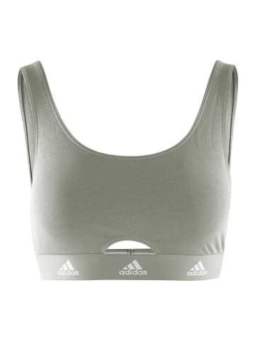 adidas Bustier SCOOP BRALETTE in oliv