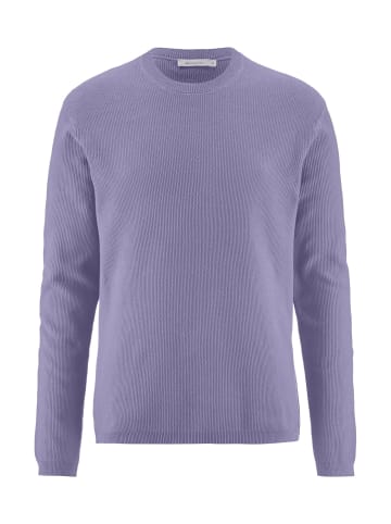 Hessnatur Pullover in lavendel