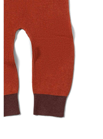 Little Green Radicals Bio-Baumwollstrick-Jogger in Orange