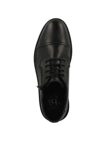 Bugatti Schnürschuhe AUQ01 in schwarz