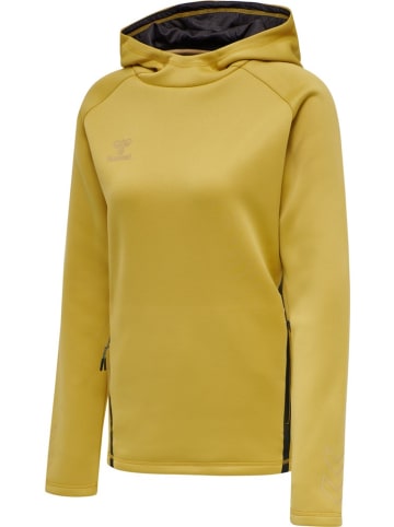 Hummel Hoodie in Gold