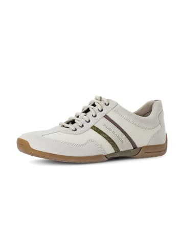 Gabor Sneaker low in weiß