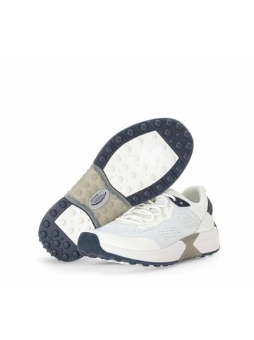 Gabor Sneaker für Herren in uni