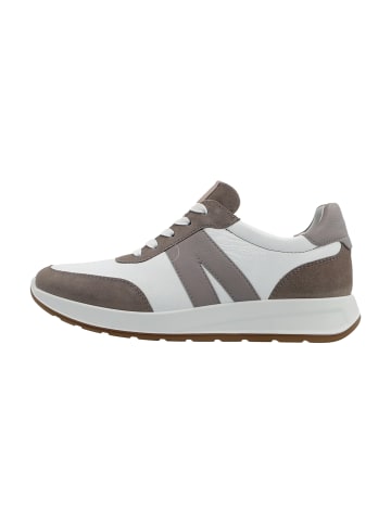 ara Sneaker Low in Beige