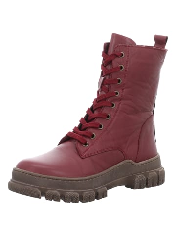 Andrea Conti Stiefelette in bordeaux