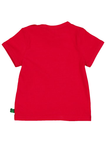 Fred´s World by GREEN COTTON T-Shirt 1511094400 in rot