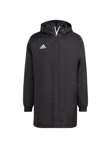 adidas Performance Winterjacke Entrada 22 in schwarz