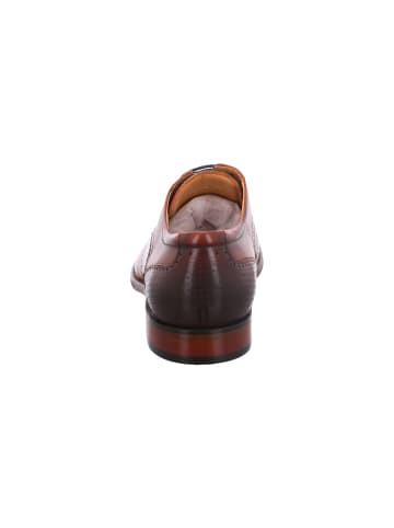 DIGEL elegante Schnürer Selleng in Braun