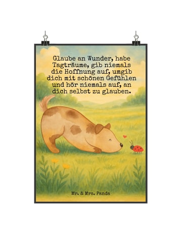 Mr. & Mrs. Panda Poster Hund Marienkäfer Design mit Spruch in Weiß