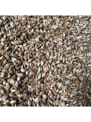 DoYourFitness Dinkelspelz Nachfüllbeutel 30kg  gelb