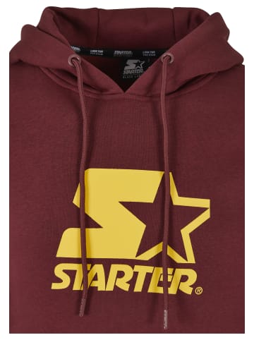 STARTER Sweat & Fleece - Hoodies in port