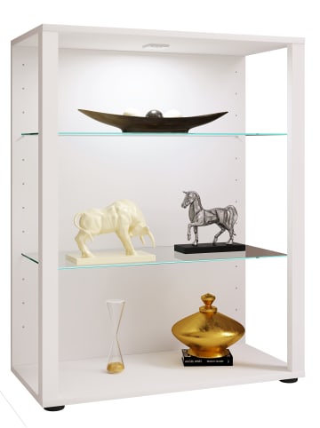 VCM  Holz Glas Stand Vitrine Sammelvitrine Glasol L in Weiß