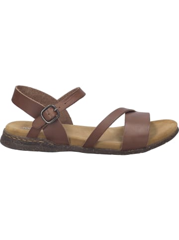 Josef Seibel Sandale Fabricia 02 in braun