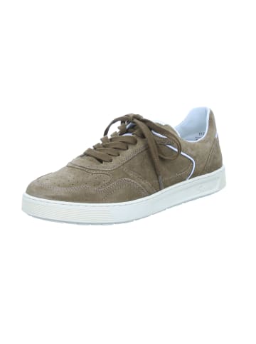 Sioux Sneaker Low in braun