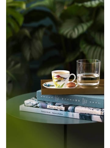Villeroy & Boch 6er Set Espressotassen mit Untertassen Amazonia Anmut 100 ml in bunt