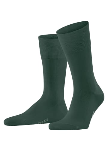 Falke Socken Tiago in Hunter gre