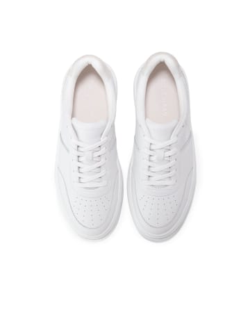 Cole Haan Sneaker Lo GRANDPRO CARISSA SNEAKERS in WHITESILVER BIRCHWHITE