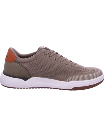 Skechers Sneaker Corliss in Beige