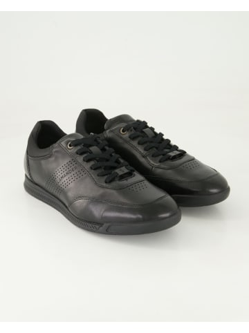 SALAMANDER Sneaker low in Schwarz