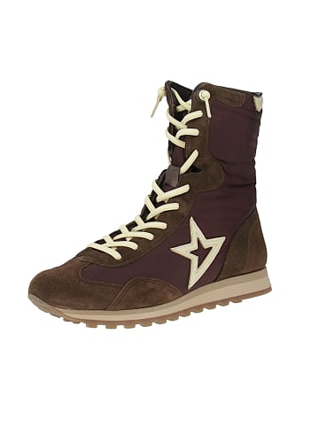Cetti Sneaker high C-1421 SRA in Braun