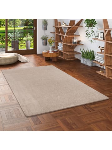 Snapstyle Hochflor-Teppich Luna in taupe