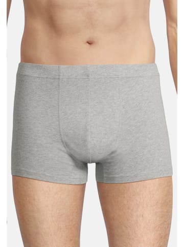 Seidensticker Retro Short / Pant Pur in Mehrfarbig
